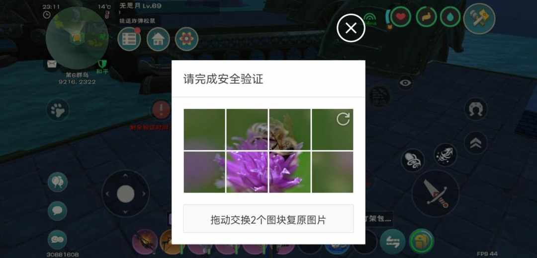 [图片]