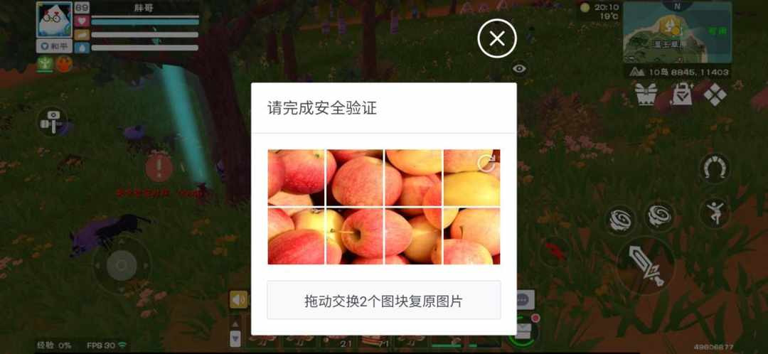 [图片]