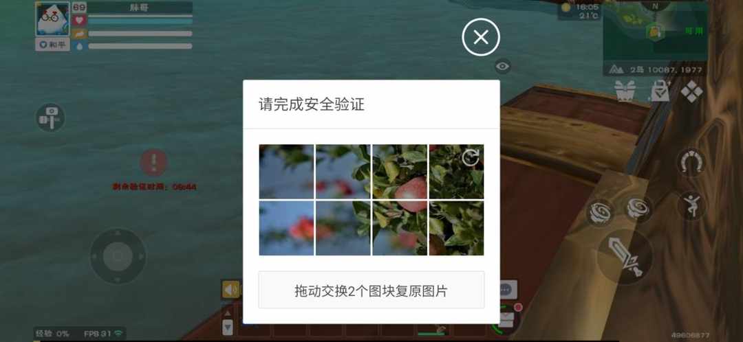 [图片]
