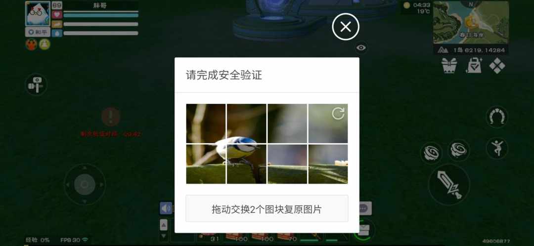 [图片]
