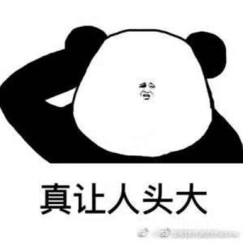 [图片]