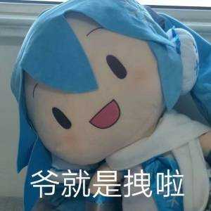 [图片]