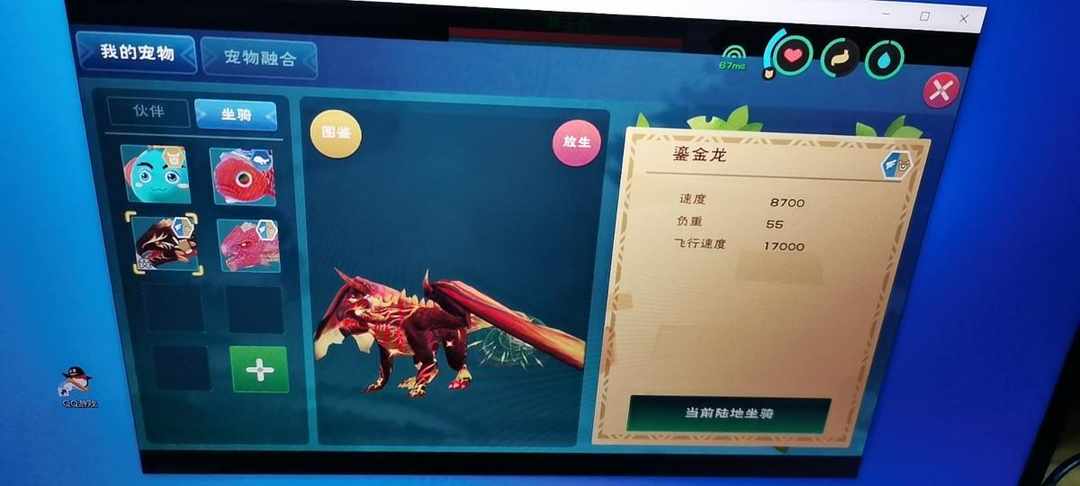 [图片]