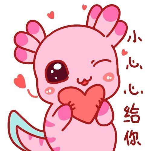 [图片]