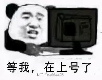 [图片]