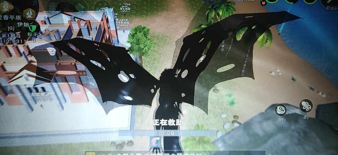 [图片]