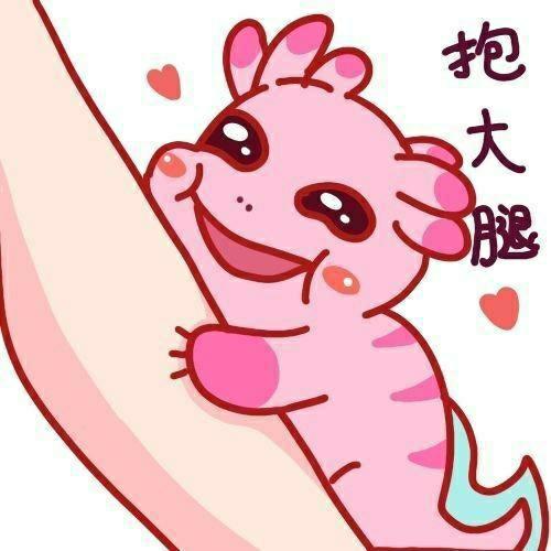 [图片]