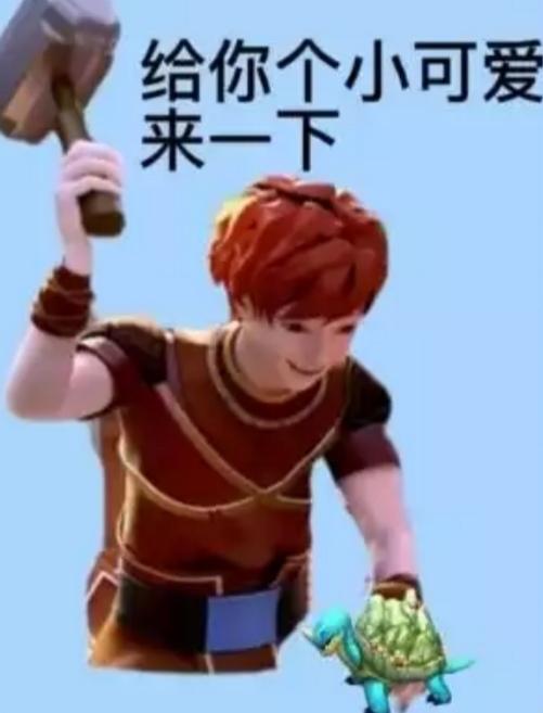 [图片]