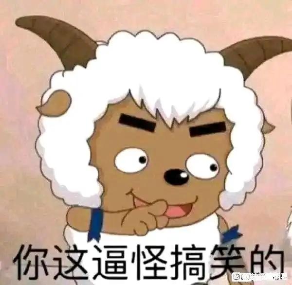 [图片]