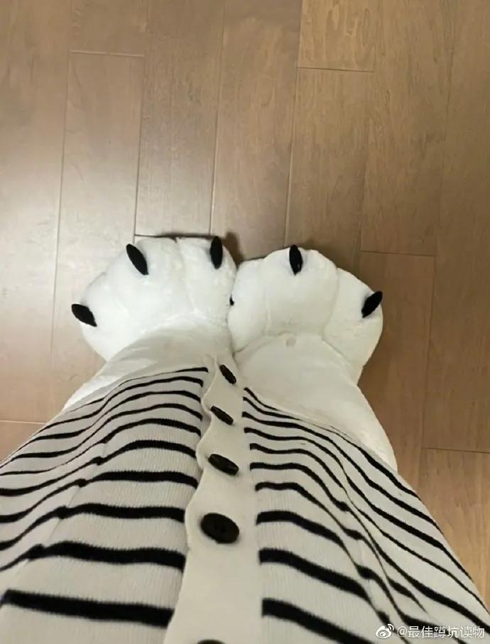 [图片]