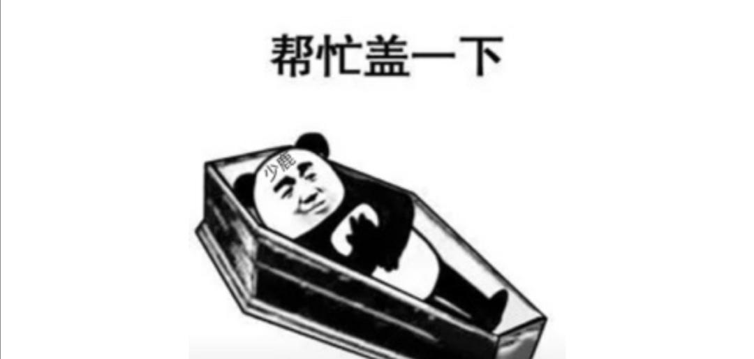 [图片]
