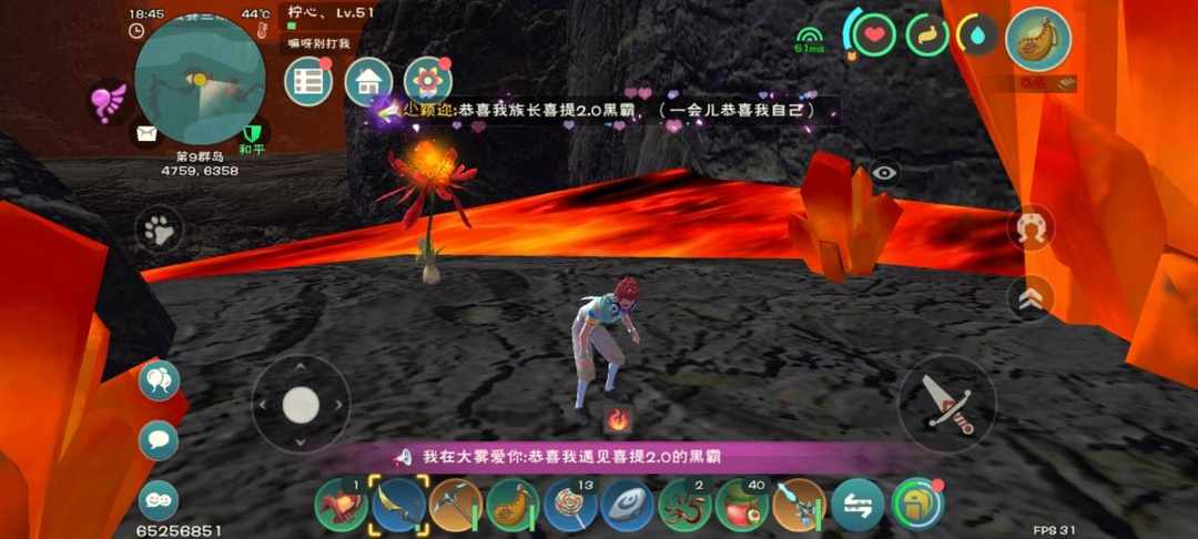 [图片]