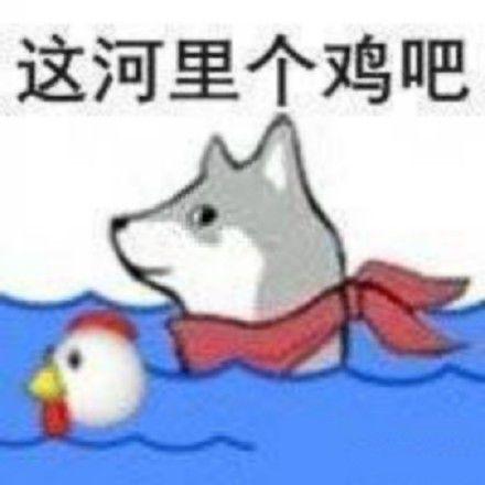 [图片]