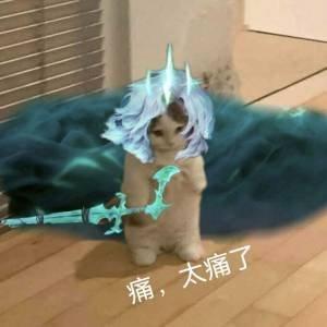 [图片]
