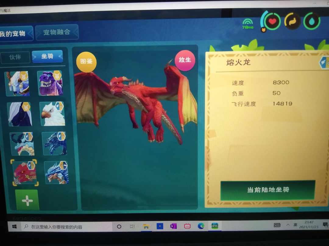 [图片]