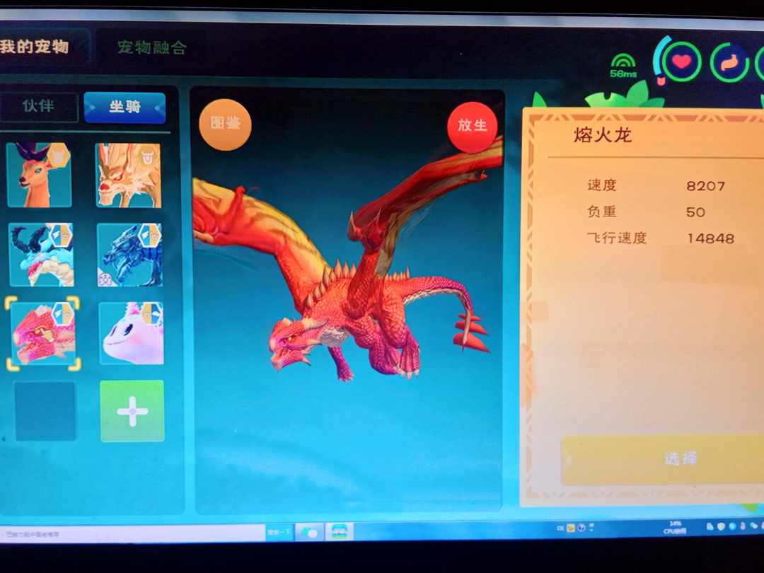 [图片]