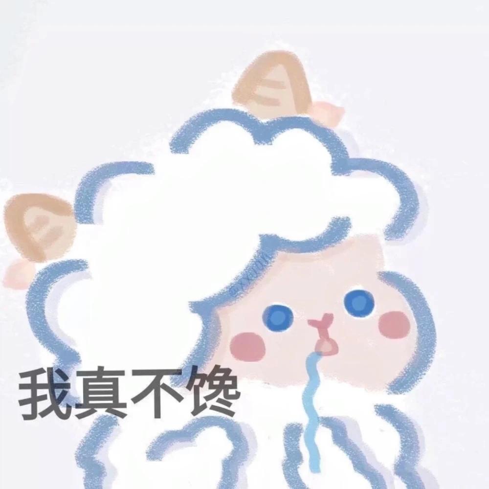 [图片]