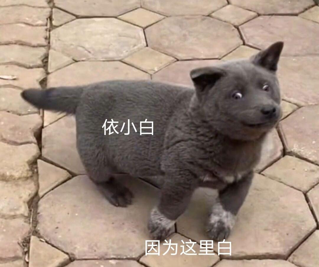 [图片]