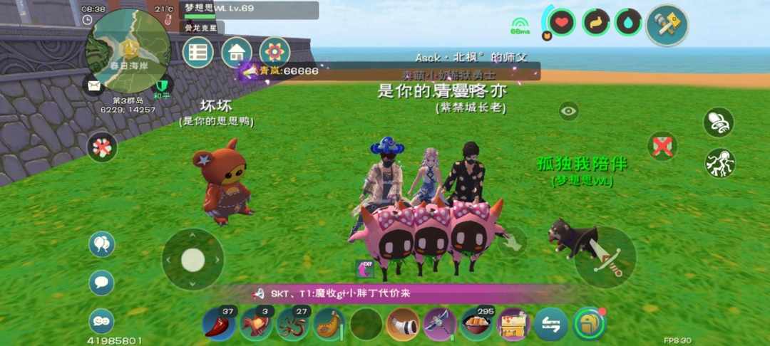 [图片]
