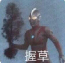[图片]