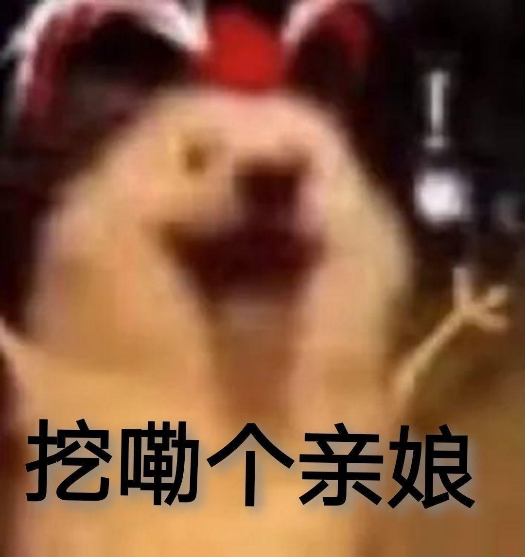 [图片]