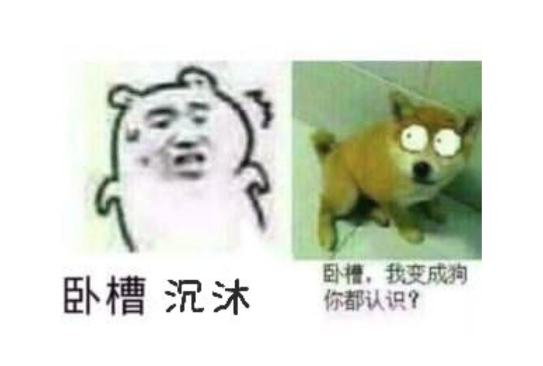 [图片]