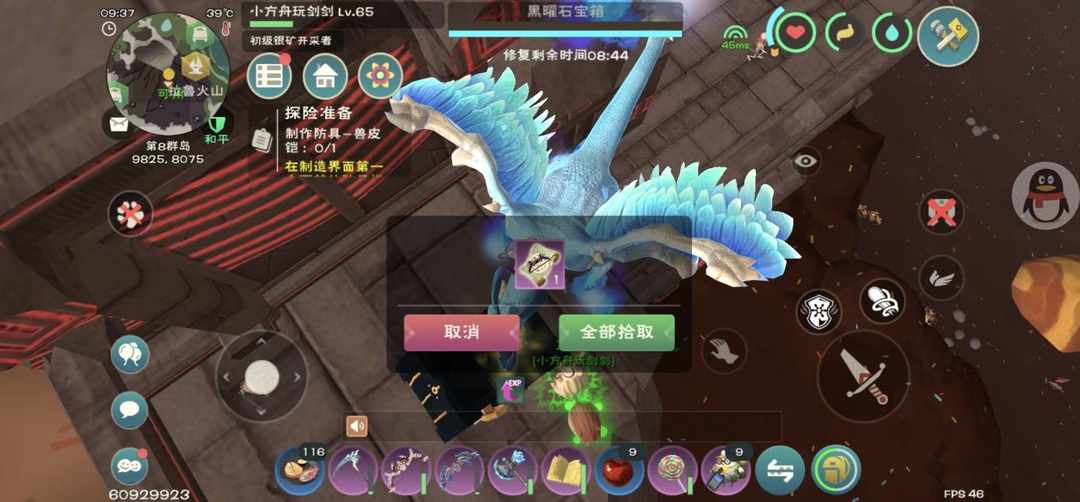 [图片]