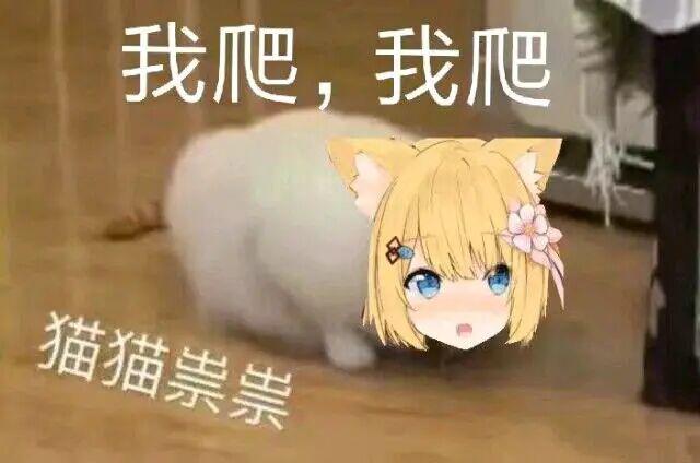 [图片]