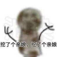 [图片]