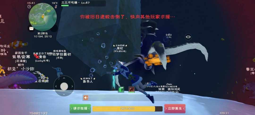 [图片]