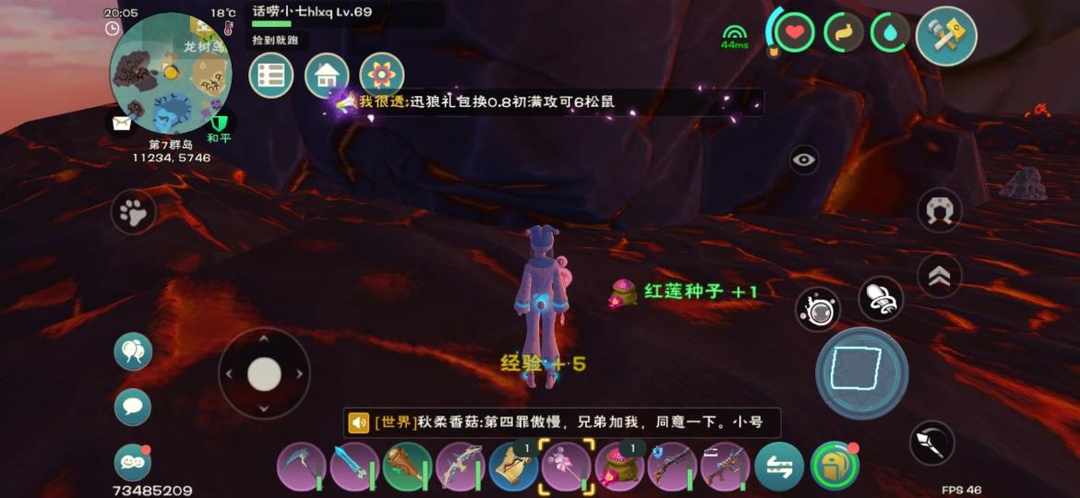 [图片]