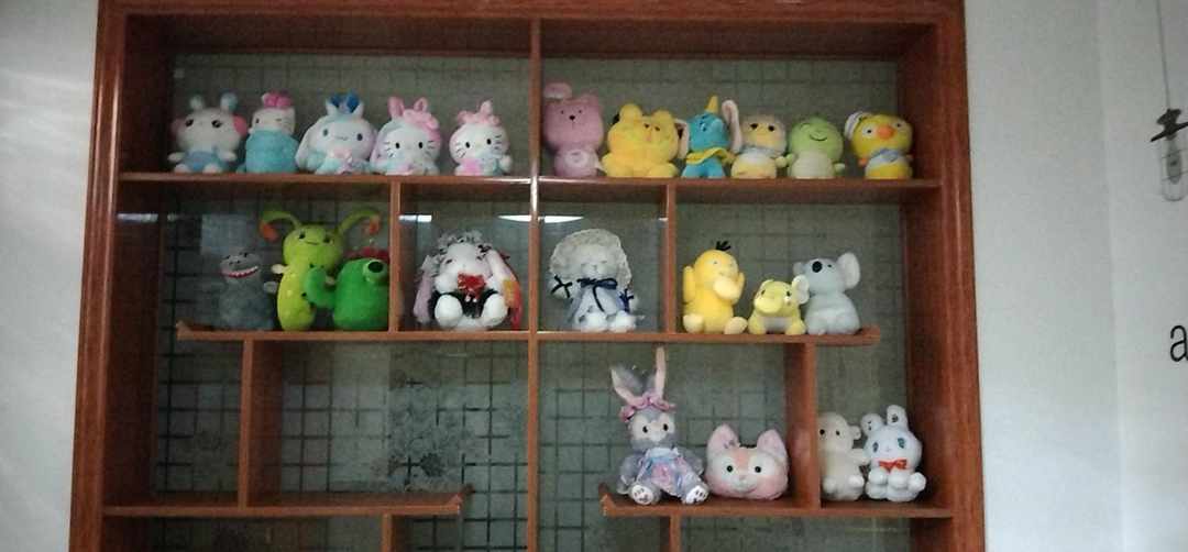 [图片]