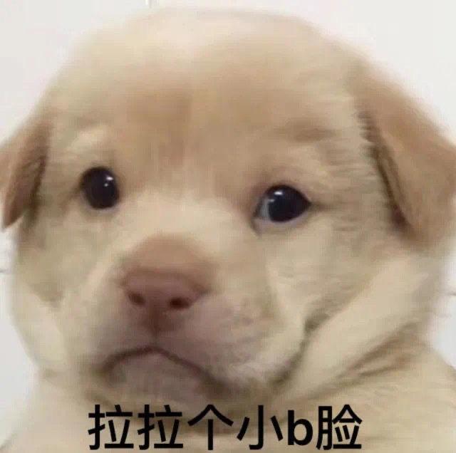 [图片]