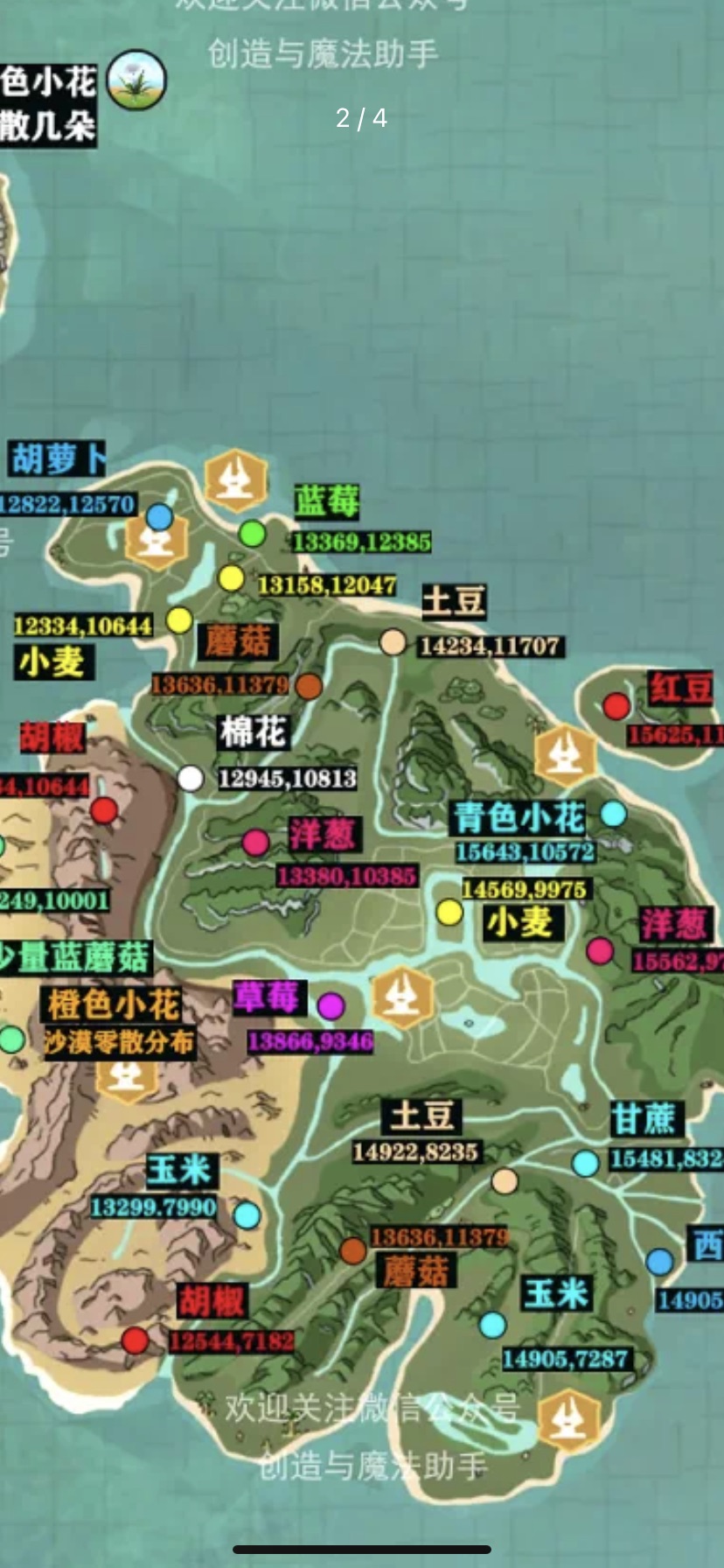 [图片]