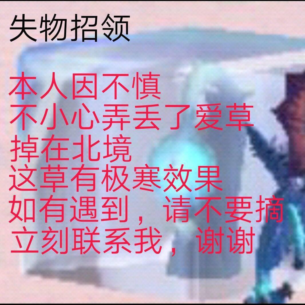 [图片]