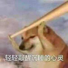 [图片]