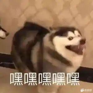 [图片]