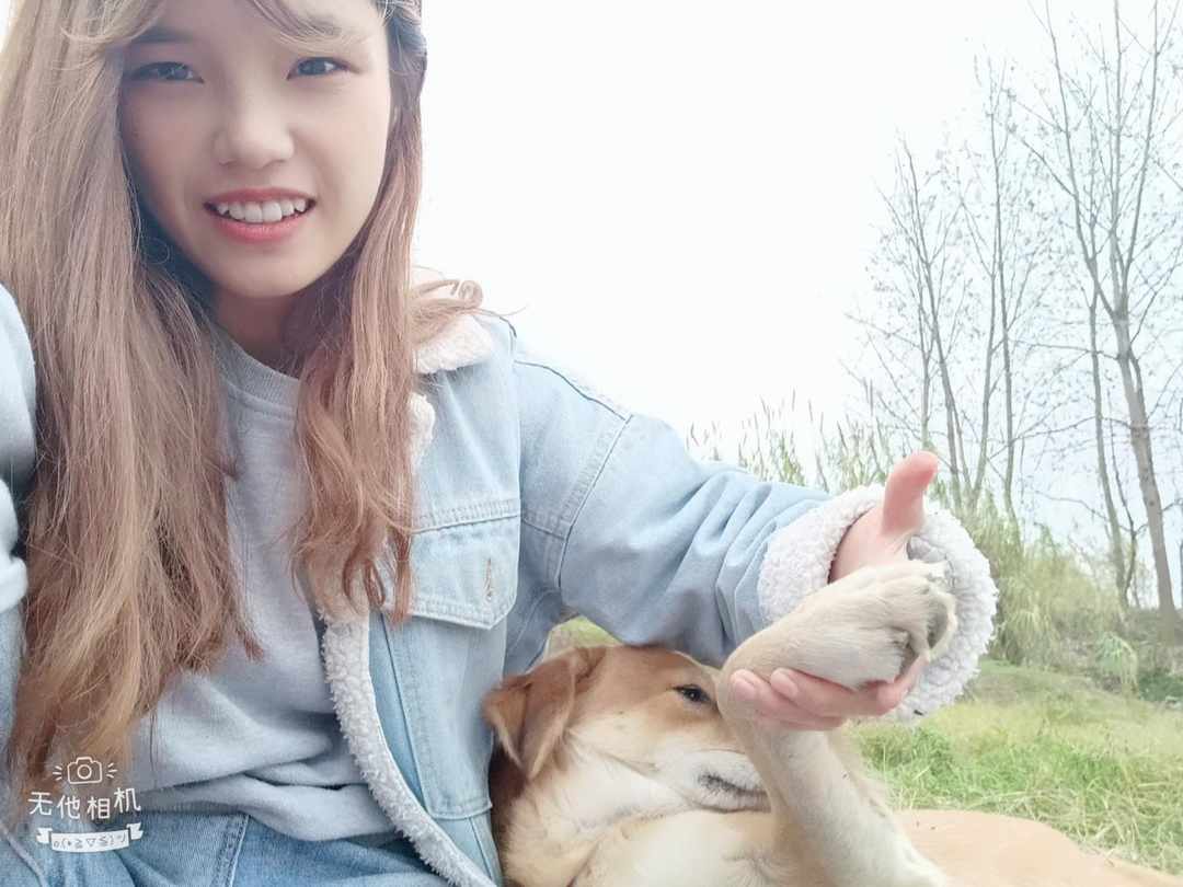 [图片]