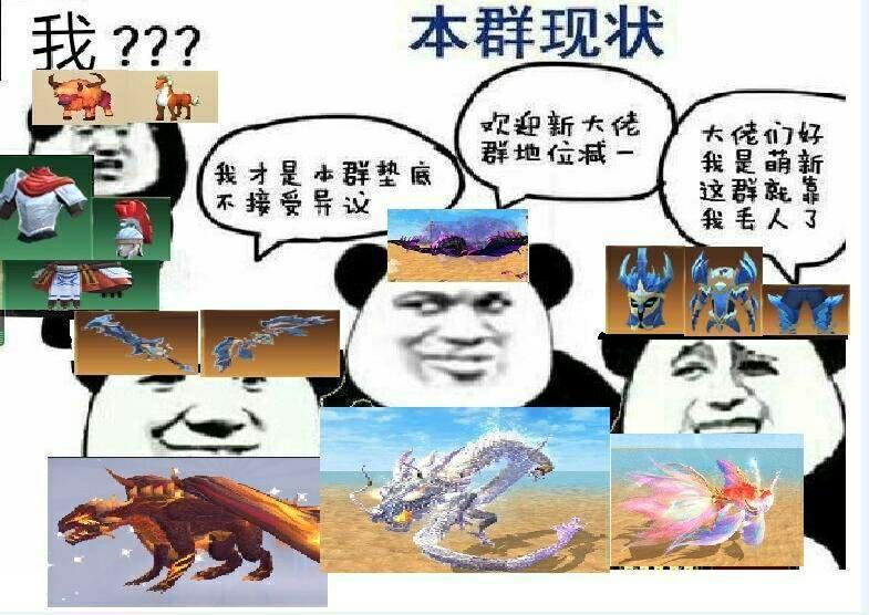[图片]
