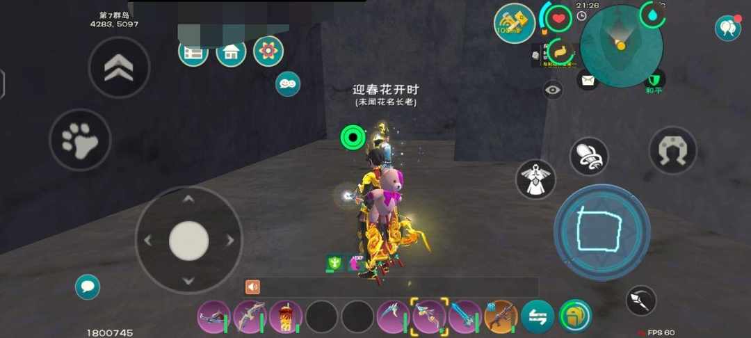 [图片]