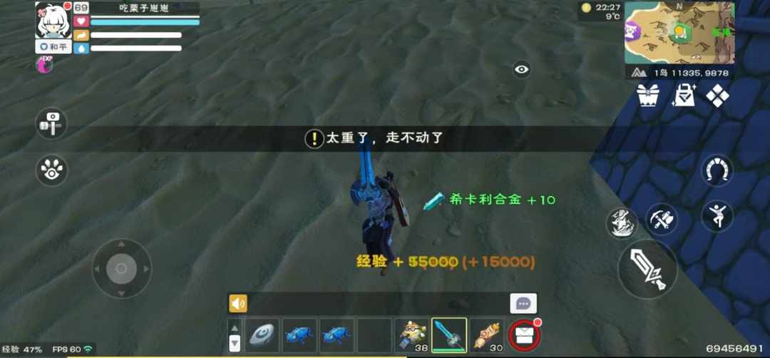 [图片]