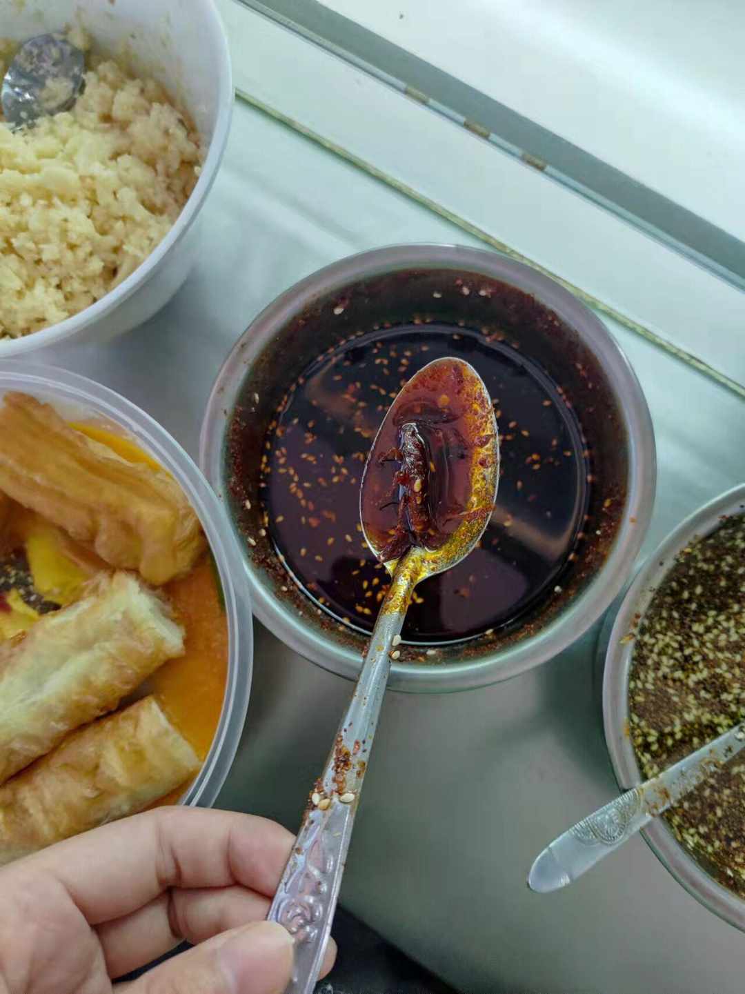 [图片]