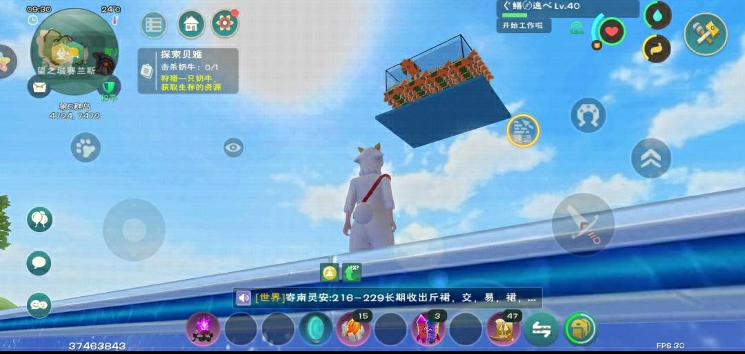 [图片]