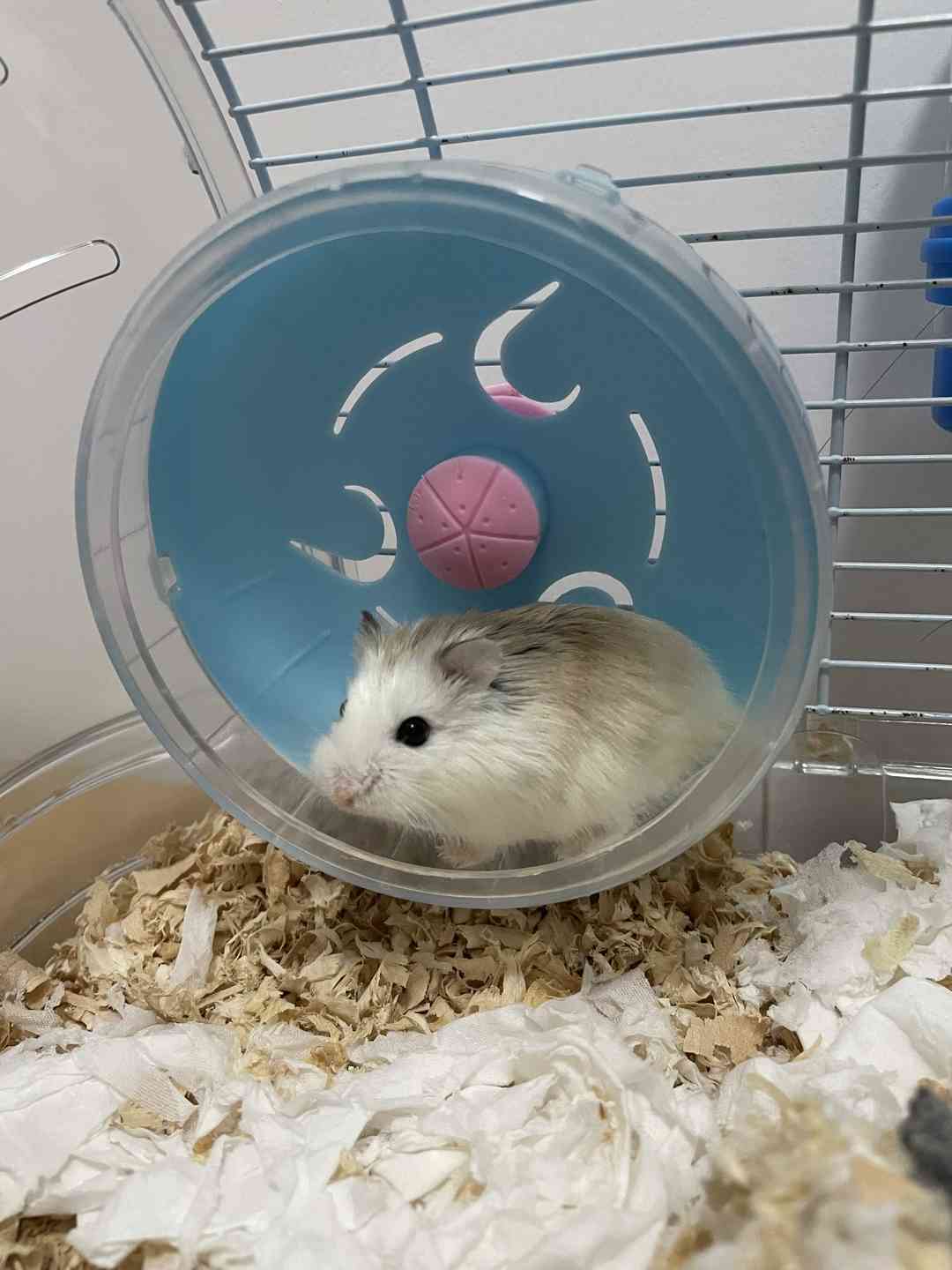 [图片]