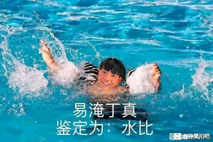 [图片]