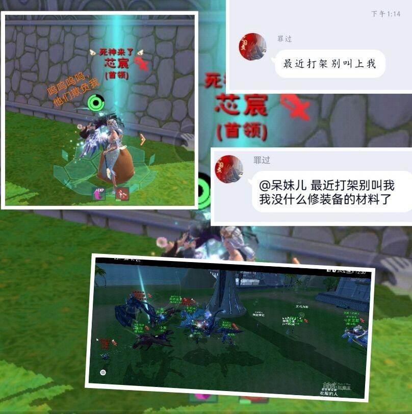 [图片]