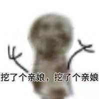 [图片]