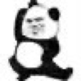 [图片]