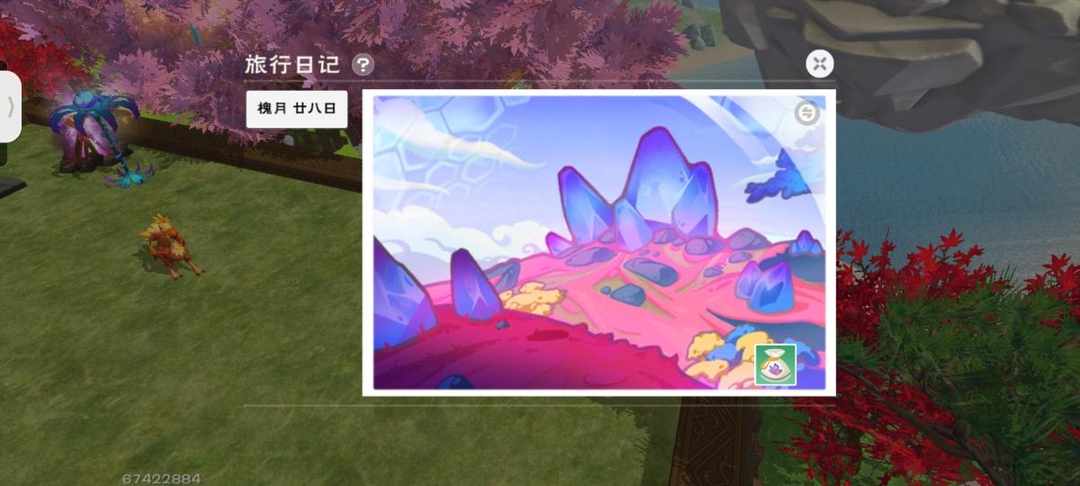 [图片]