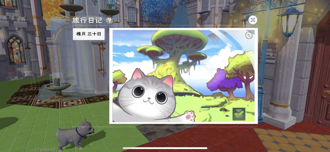 [图片]